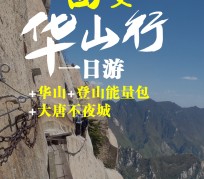 苏州一日游(一日游需要准备些什么东西?)
