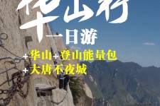 苏州一日游(一日游需要准备些什么东西?)