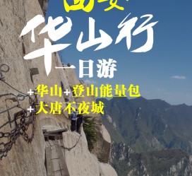苏州一日游(一日游需要准备些什么东西?)