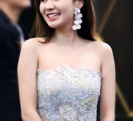 苏州cnbanycom伴游中国明星的简单介绍