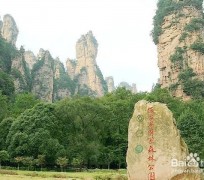 苏州自驾旅游攻略(自驾旅游攻略app排行榜)