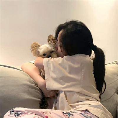 苏州商务伴游如何维护客户关系并拓展业务